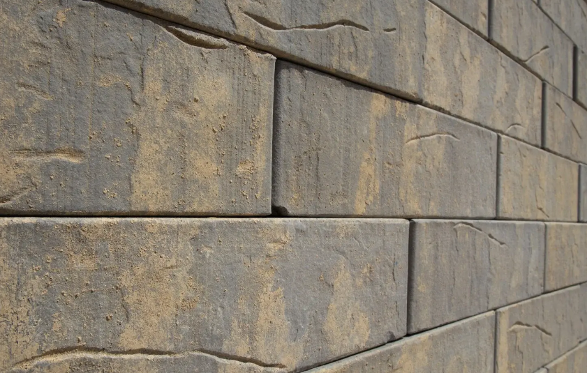 Кротовский Альфар 1НФ